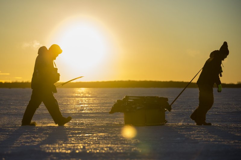 Experience the Thrill of Ice Fishing at UK's Top Live Casino Gaming Platforms - overview