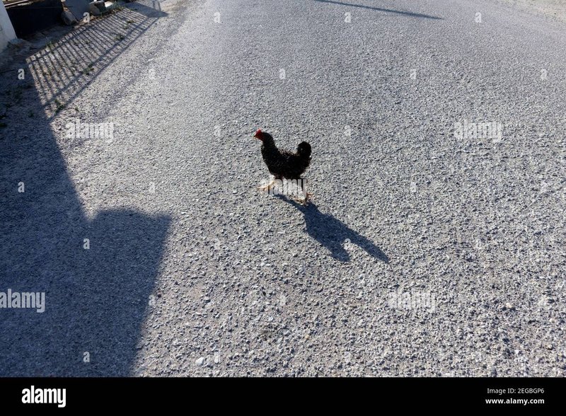 Chicken road casino in Spain